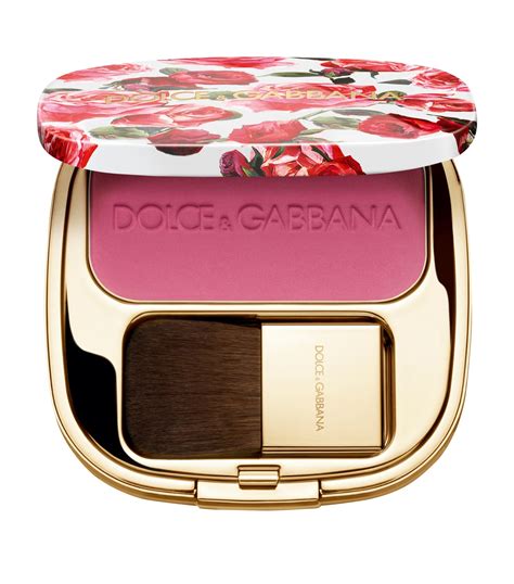 dolce gabbana blush of roses